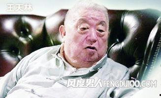 王天林爆料完整视频大全,事件始末与幕后真相