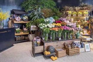 花店吃瓜视频爆料大全集,揭秘娱乐圈幕后风云  第3张